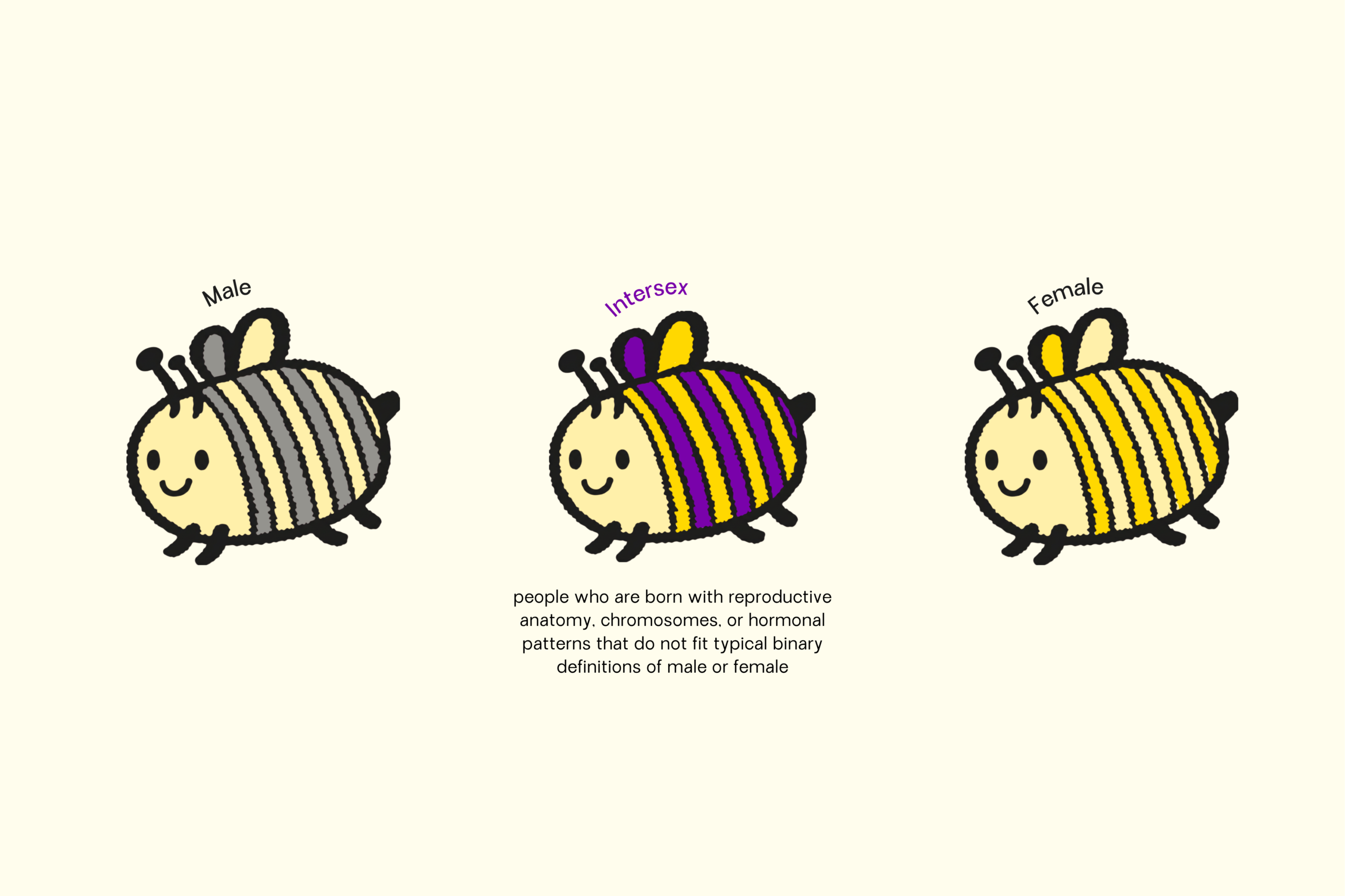 Bee Who You Are: A SOGIESC Review type b sogie bees bee who you are 9