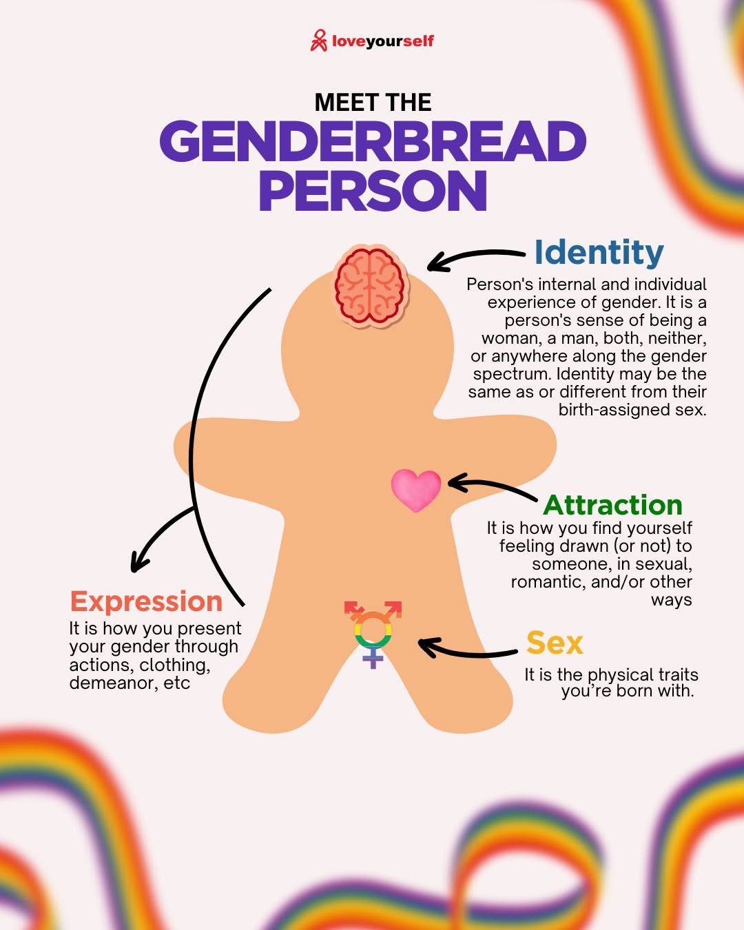Bee Who You Are: A SOGIESC Review type b the genderbread person by loveyourself